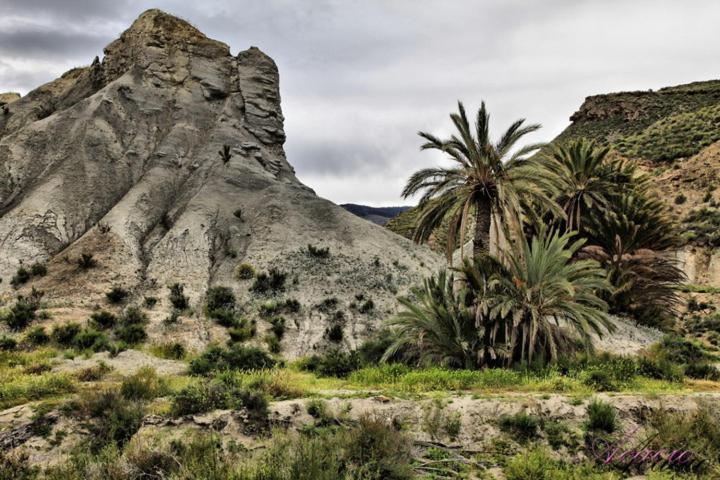 Alojamiento turístico Almazarillas en el Desierto de Tabernas Casa de hóspedes Exterior foto